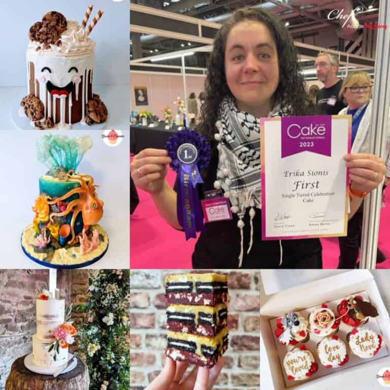 erika sionis my story