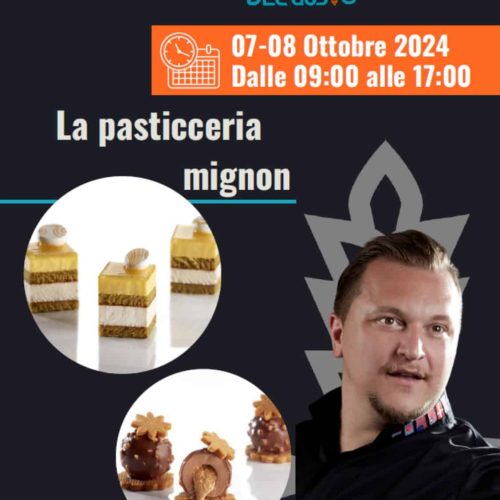 WhatsApp Image 2024-10-04 at 16.49.58